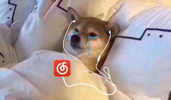 网易云是什么梗？