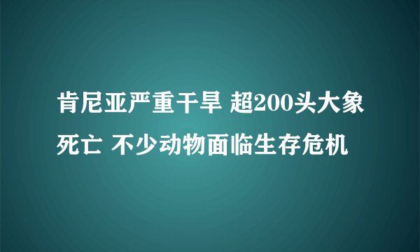 肯尼亚严重干旱 超200头大象死亡 不少动物面临生存危机