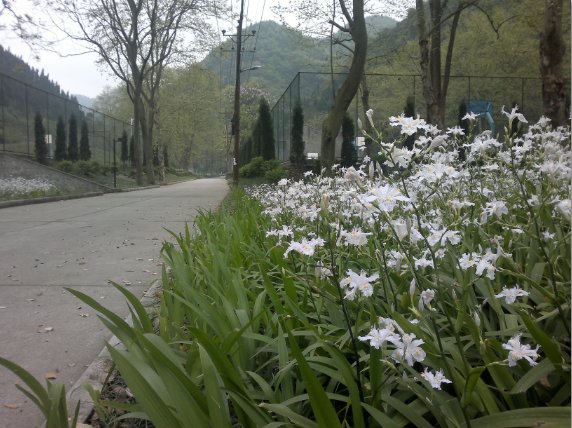 诺基亚C7怎么样？