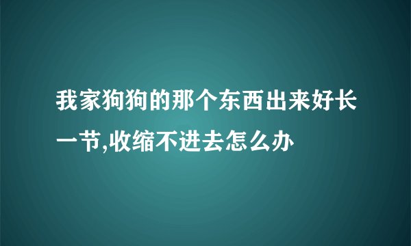 我家狗狗的那个东西出来好长一节,收缩不进去怎么办
