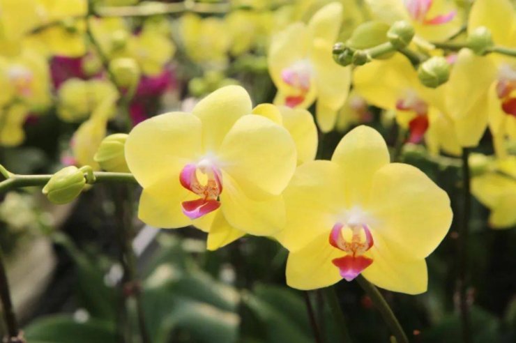 在外打工的立春前后回家有啥说法吗?