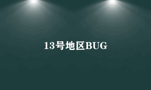 13号地区BUG