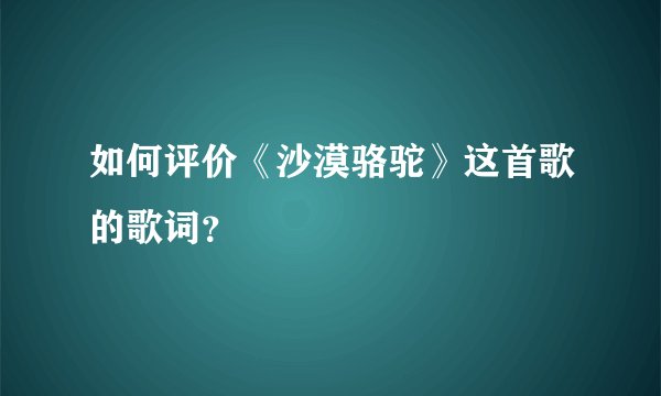 如何评价《沙漠骆驼》这首歌的歌词？