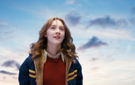 电影《可爱的骨头》里面女主角当时在地下屋里她到底出没出来过?