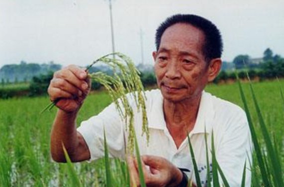 袁隆平先生的个人简介是怎么样的？