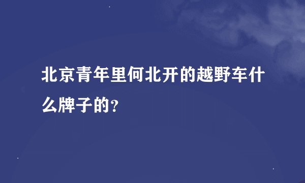 北京青年里何北开的越野车什么牌子的？