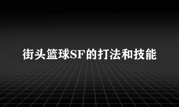 街头篮球SF的打法和技能
