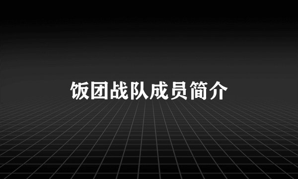 饭团战队成员简介