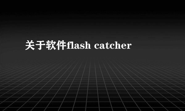 关于软件flash catcher