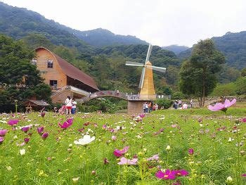 邓组词有哪些词语