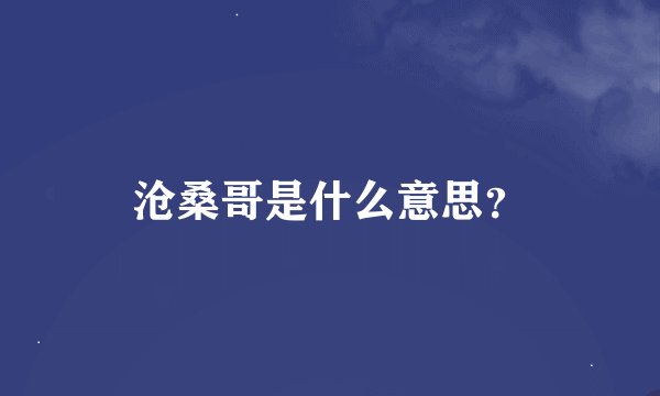 沧桑哥是什么意思？