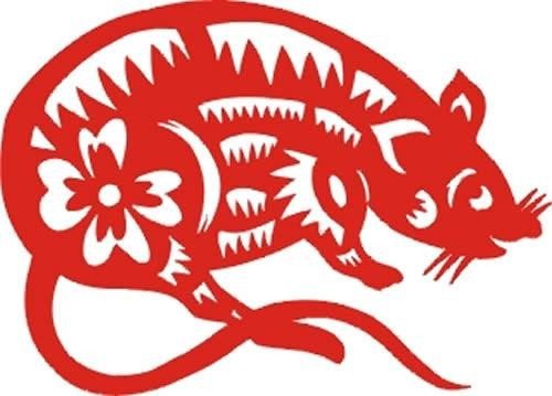 今年是什么年，上一个闰年是什么年，下一个闰年是什么年