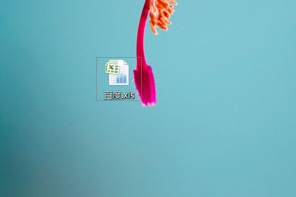 请问，XLS是什么文件？