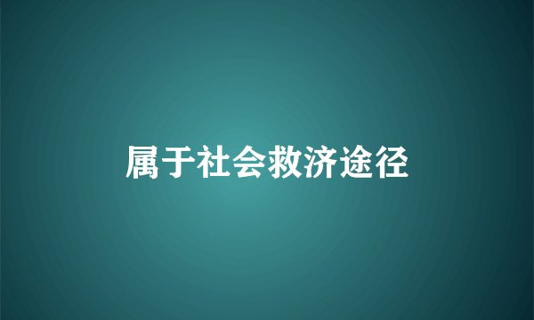 属于社会救济途径