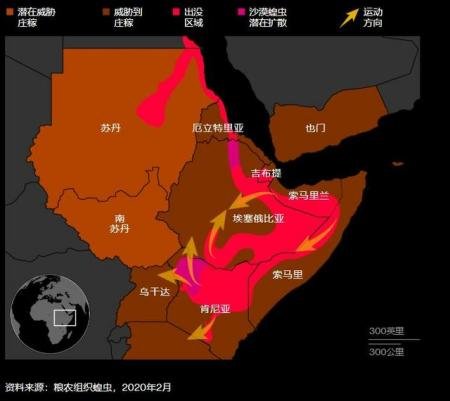 沙漠蝗虫卷土重来会带来什么影响？