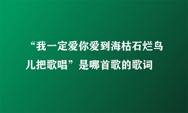 “我一定爱你爱到海枯石烂鸟儿把歌唱”是哪首歌的歌词