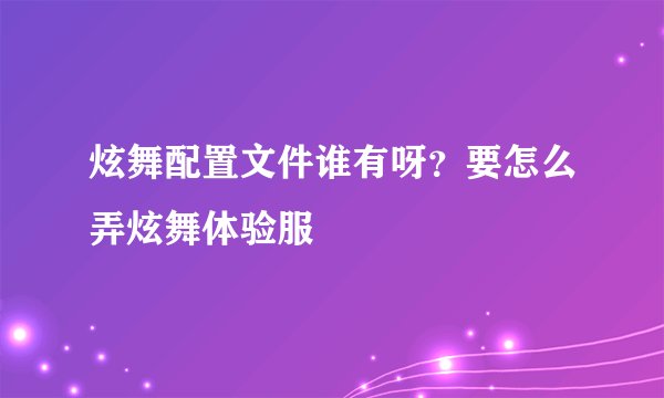 炫舞配置文件谁有呀？要怎么弄炫舞体验服