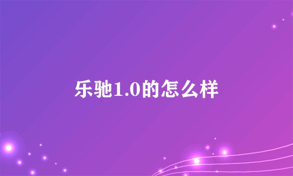 乐驰1.0的怎么样