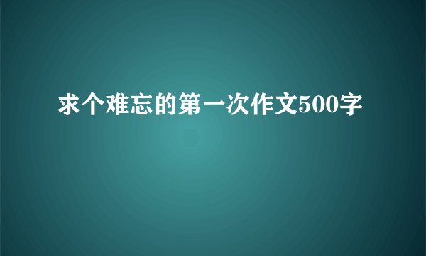 求个难忘的第一次作文500字