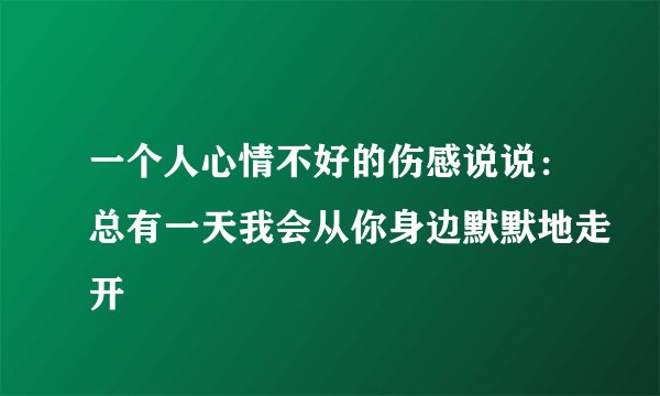 一个人心情不好的伤感说说：总有一天我会从你身边默默地走开