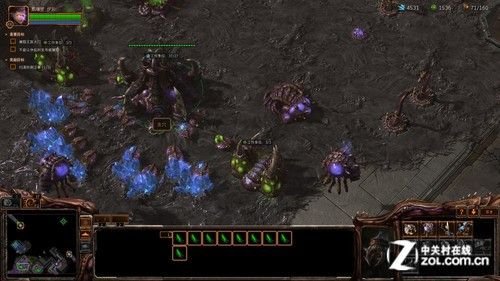 魔蝎金甲虫的金甲虫参数