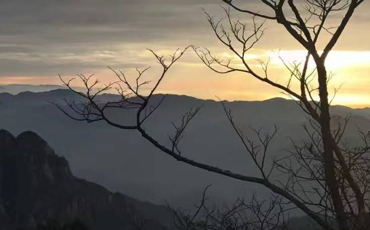 喧嚣一时打一数字