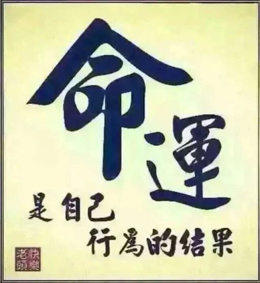 电风猴的名词解释