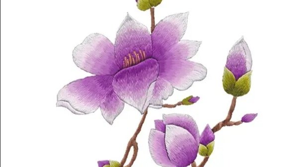 双面绣是我国传统艺术,你对这种绣法了解多少?