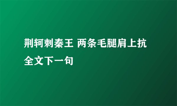 荆轲刺秦王 两条毛腿肩上抗全文下一句