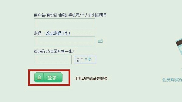 查中国人寿保险保单查询系统