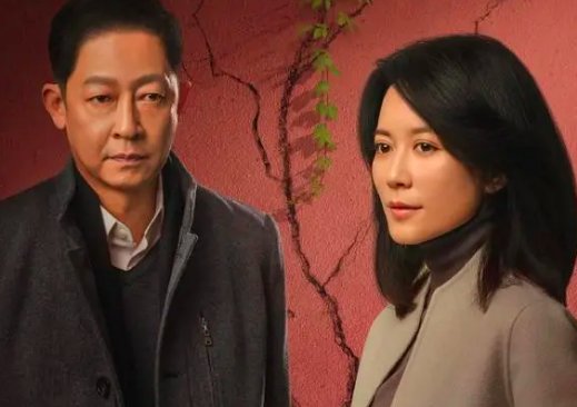 风雨送春归哪个台播放