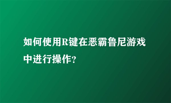 如何使用R键在恶霸鲁尼游戏中进行操作？