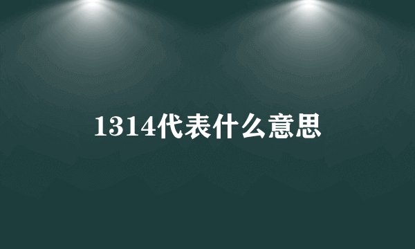 1314代表什么意思
