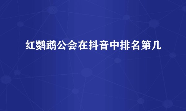 红鹦鹉公会在抖音中排名第几