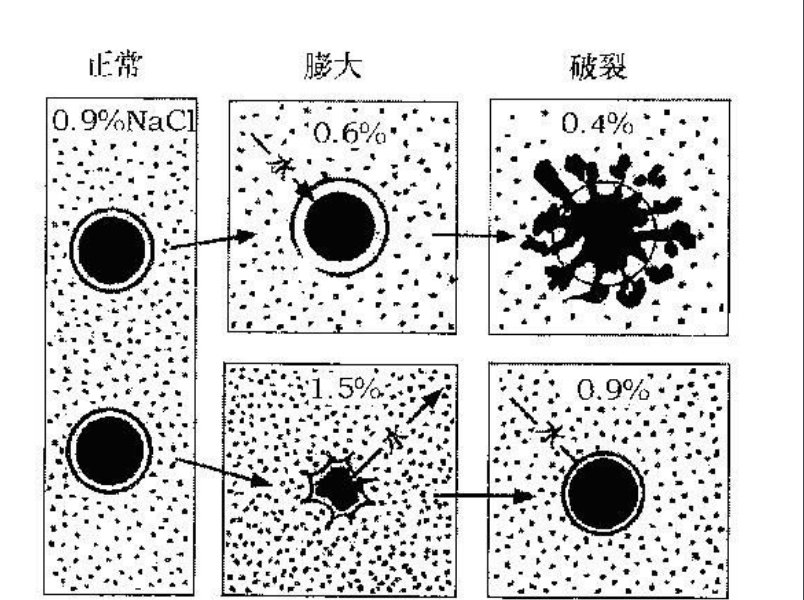 渗透压的单位是什么？