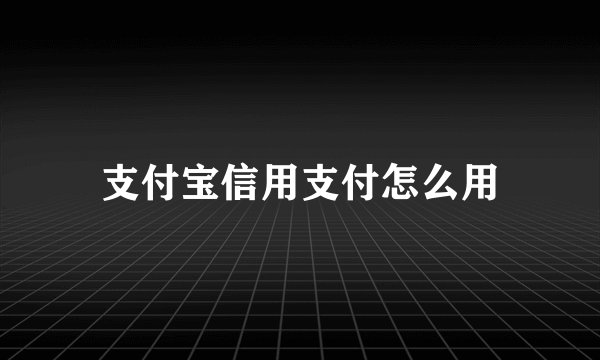 支付宝信用支付怎么用