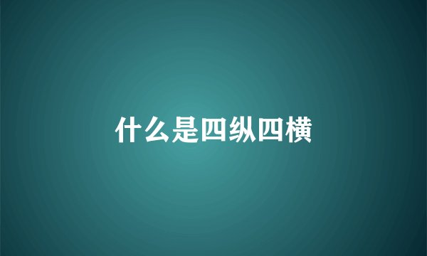 什么是四纵四横