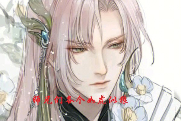 师兄们各个如狼似虎大结局是什么？