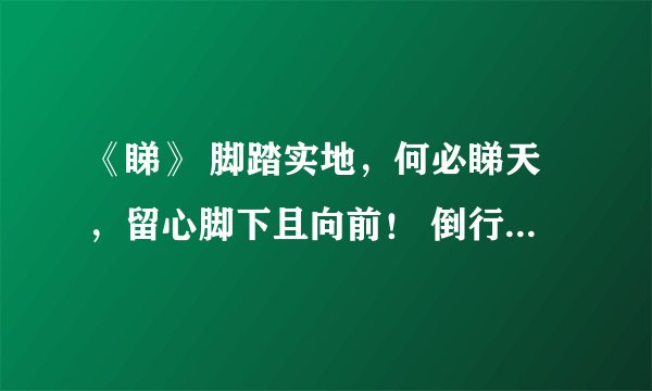 《睇》 脚踏实地，何必睇天，留心脚下且向前！ 倒行逆施，终须涉险。天意难测勿占算。 猜一生肖
