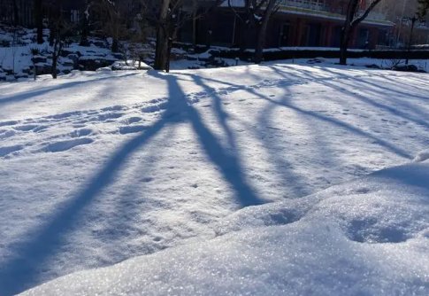 降雪量的等级标准