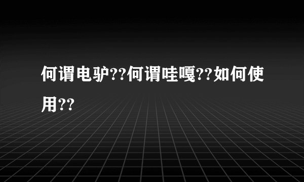 何谓电驴??何谓哇嘎??如何使用??