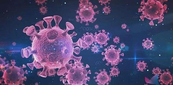 世卫组织说可能永远不会发现零号病例，发现零号病例究竟有何意义？