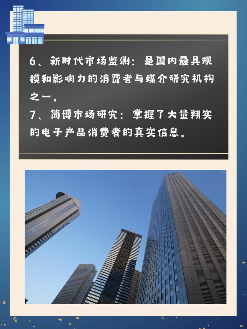 国内前十咨询公司