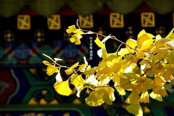 为什么大年初一不能出门拜年?