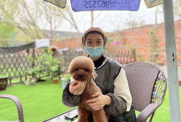 宠物培训学校费用