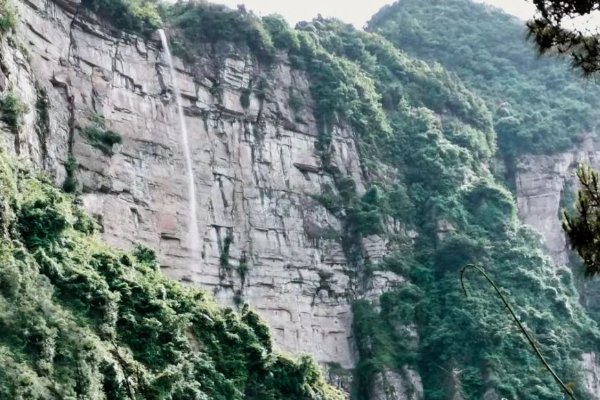 广西一名女孩上山采药失踪3天后获救，她是如何获救的？