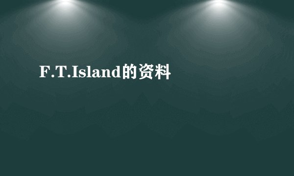 F.T.Island的资料