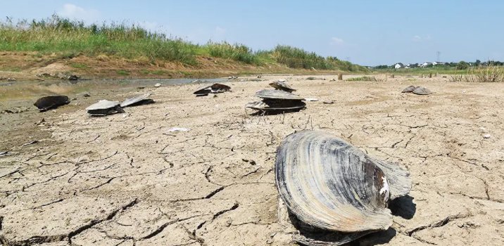 鄱阳湖水域面积正逐步恢复，何时能恢复到以往的“盛况”？