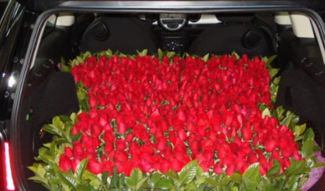 鲜花放到车里一晚上没事吧!