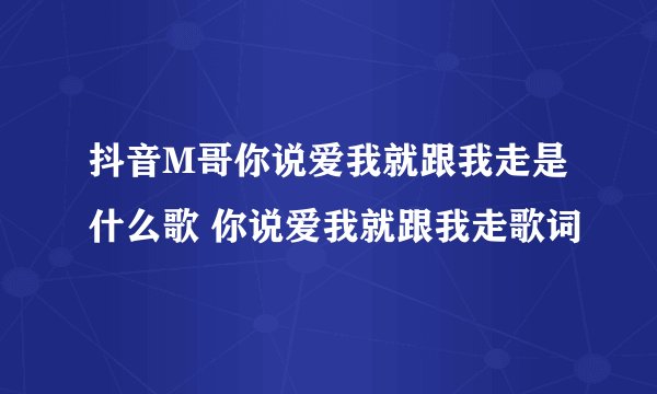 抖音M哥你说爱我就跟我走是什么歌 你说爱我就跟我走歌词